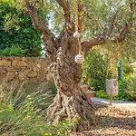 Villa Giada - By Searly Palau