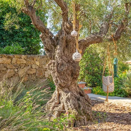 Villa Giada - By Searly Palau